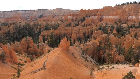 Movement At High Point View At Bryce Canyon With Orange Red Mountains And Cliffs Stock Footage 87075300