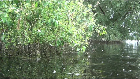 Movement of the kayak on the river 스톡 동영상 24581743