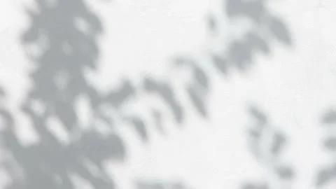 The movement of the leaves of a tree on a gray concrete wall, the sun's rays Stock Footage 160116560