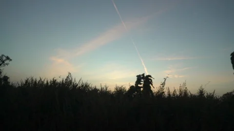 Movement left, car view plane trail in the sky at sunset Stock Footage 100969067
