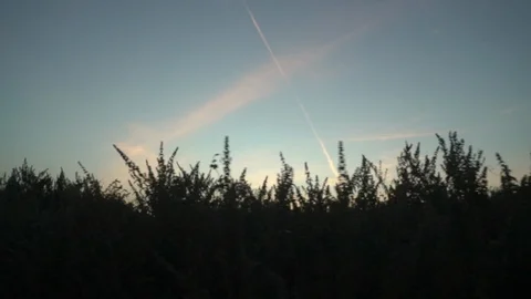 Movement left, grass silhouette foreground, plane trail in the sky at sunset Stock Footage 100969246