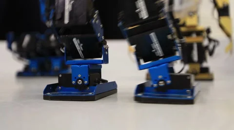 Movement of the legs Stock Footage 48148337