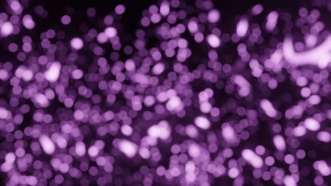 Movement of lilac shiny particles Stock Footage 236185570