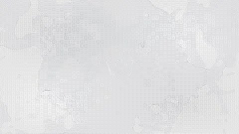 Movement of liquid or water on a plain background on a transparent Stock Footage 297582097
