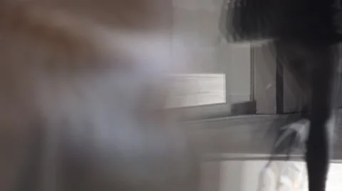 Movement In The Mall Stock Footage 52504717