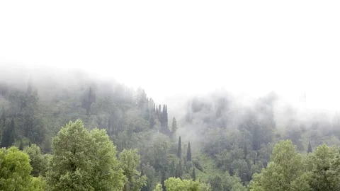 The movement of the morning mist Stock Footage 71094662