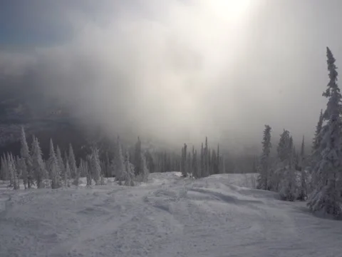 Movement on the mountain in the snow trees Stock Footage 70925730
