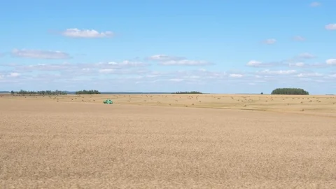 Movement Next To Ripe Rye, Golden Color, Harvesting 4K Stock Footage 81001326