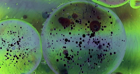 Movement oxygen bubbles in a liquid Stock Footage 127688623