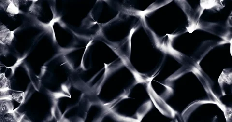 Movement oxygen bubbles in a liquid Stock Footage 128138489