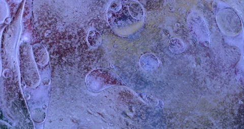 Movement oxygen bubbles in a liquid Stock Footage 128450543