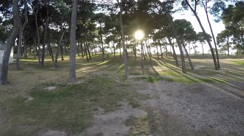 Movement in the park at sunset to meet the sun 스톡 동영상 47968032