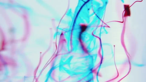 Movement of red blue circles under water on a white background. Stock Footage 227861955