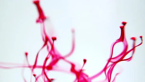 Movement of red circles under water on a white background. Stock Footage 227862424