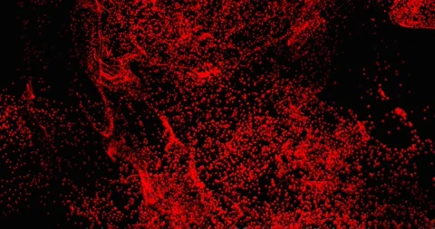 The movement of red particles Stock Footage 231579052