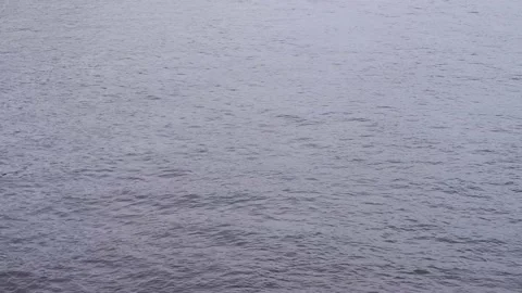 The movement of the river in the park. Stock Footage 155014509