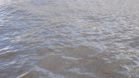 The movement of the river in the park. Stock Footage 155198618