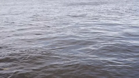 The movement of the river in the park. Stock Footage 155198634