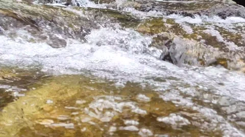 Movement of river water flowing Stock Footage 260671958