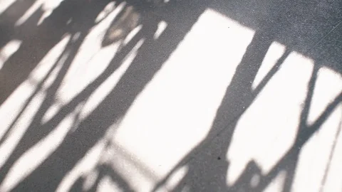 The movement of shadows and sunlight on the floor. Stock Footage 120529716