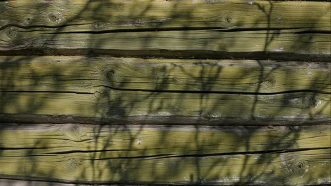 The movement of shadows of tree.falling on a painted wooden wall. Stock Footage 107901867