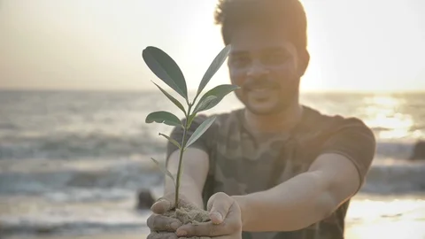 Movement shot of a smiling Indian man holding a small green plant or sampling Stock Footage 90053948