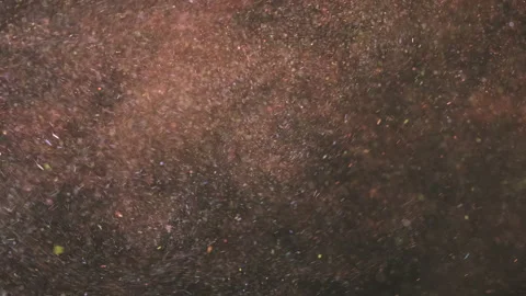 The movement of small particles. slow motion Stock-Footage 159060250