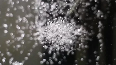 Movement of small water bubbles in the aquarium Stock Footage 107316609