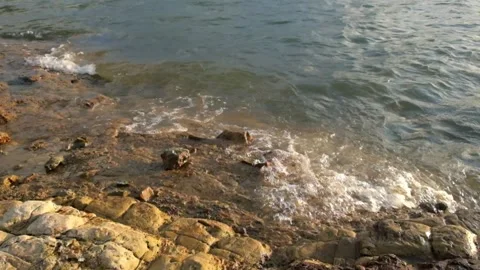 The movement of small waves crashing against the edge of the lake 動画素材 291523685