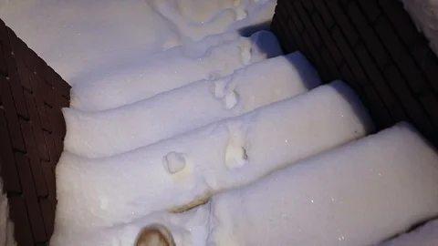 Movement on the snow  trail Stock Footage 104012946