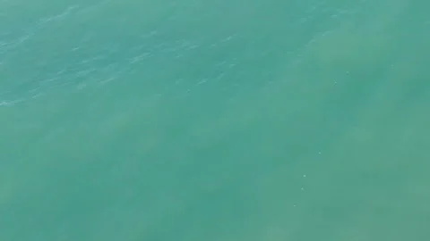Movement of streams of Turquoise colored sea water on the surface of the sea Stock Footage 271739794