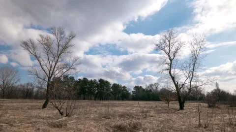 Movement of sun and clouds .4K (4986x2304)   Time lapse without birds, RAW Stockbeeldmateriaal 48476134
