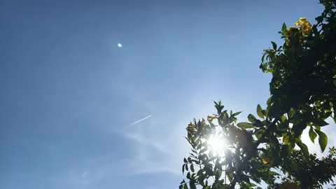 Movement Sunlight, Flare And Contrail With Silhouette Stock Footage 273658857