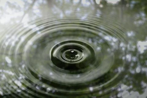 The movement of the surface of the water droplets with the shadow of the tree Stock Photos