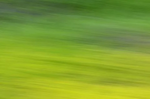 Movement texture abstraction green clouds Stock Photos