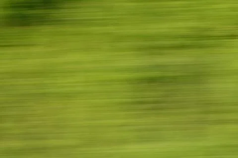 Movement texture abstraction green clouds 库存照片