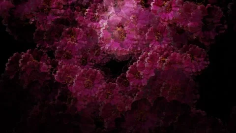 Movement through rotating flowers on a black background. abstract animation. 3d  Stock Footage 258272852