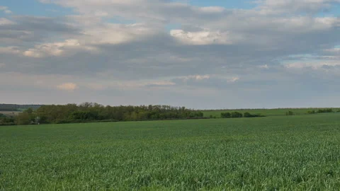 The movement of the thunderclouds over the fields of wheat in spring Stock Footage 90304822