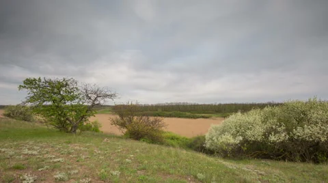 The movement of the thunderclouds over the fields of winter wheat Stock Footage 67865377