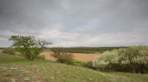 The movement of the thunderclouds over the fields of winter wheat Stock Footage 67865948