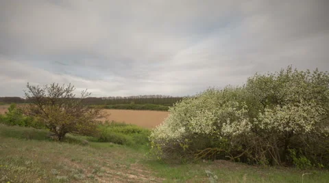 The movement of the thunderclouds over the fields of winter wheat Stock Footage 67866737