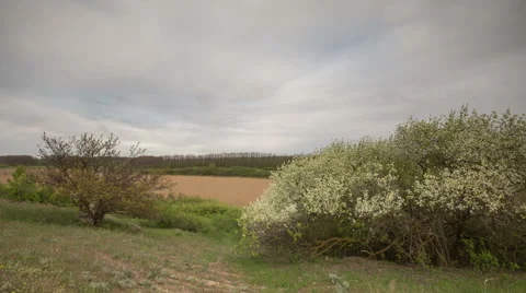 The movement of the thunderclouds over the fields of winter wheat Stock Footage 67867168