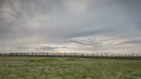 The movement of the thunderclouds over the fields of winter wheat Stock Footage 67867222