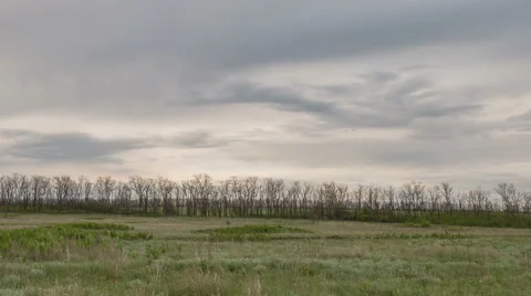 The movement of the thunderclouds over the fields of winter wheat Stock Footage 67867394