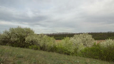 The movement of the thunderclouds over the fields of winter wheat Stock Footage 67869137