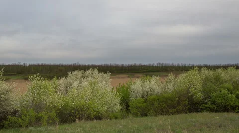 The movement of the thunderclouds over the fields of winter wheat Stock Footage 67869190