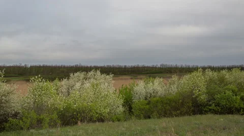 The movement of the thunderclouds over the fields of winter wheat Stock Footage 67869591