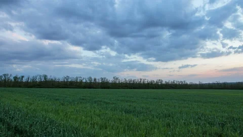 The movement of the thunderclouds over the fields of winter wheat in spring Stock Footage 90310547