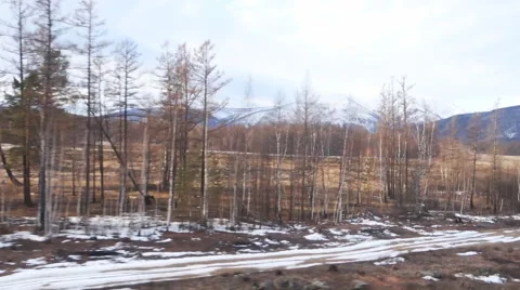Movement of trains on the railway Stock Footage 61799549