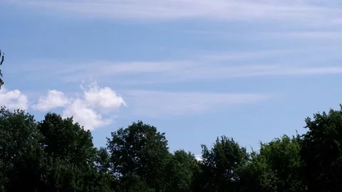 The movement of tree branches in the wind. Background blue sky. Stock Footage 157930332